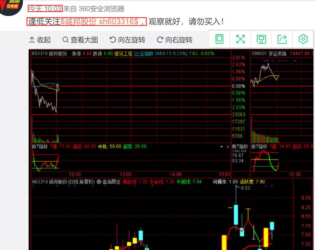 关于603316近30日行情走势的信息