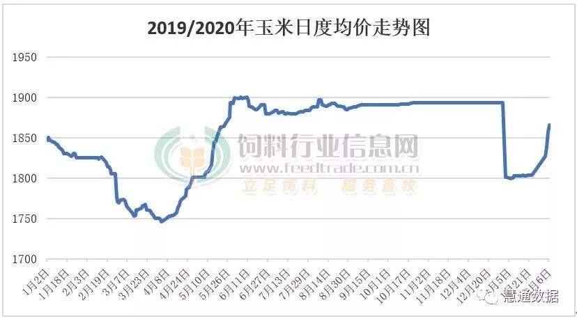 玉米价格行情走势12月_玉米价格行情预测走势价格 新闻