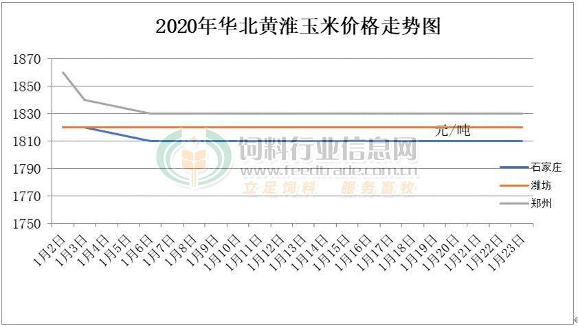 今年国际玉米行情走势分析_今年国际玉米行情走势分析视频