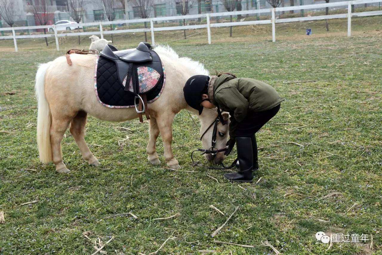 马会.足球_马会足球为什么派彩那么慢