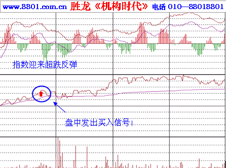 福耀玻璃行情走势分析今日_福耀玻璃行情走势分析今日头条