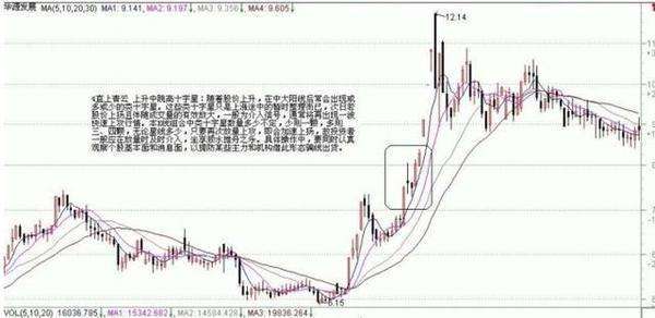 黑马股走势规律与操盘技巧_黑马股走势规律与操盘技巧股pdf