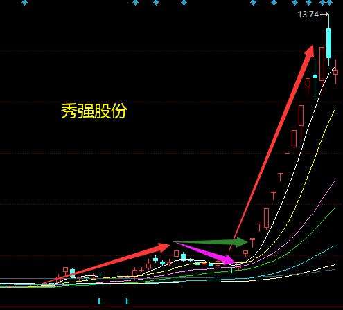 秀强股份股票股价走势_秀强股份股票股价走势分析