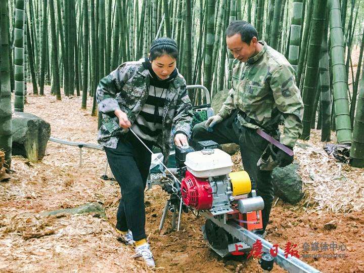 竹山大规模机械价格走势的简单介绍