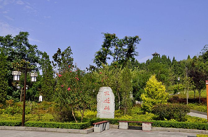 乐至县龙溪乡山形走势_四川省资阳市乐至县龙溪乡