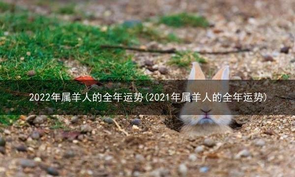 属羊2021运气走势_属羊的2021全年运势