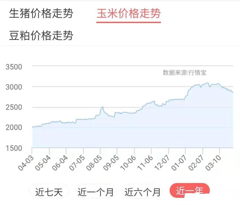 2020年冬天玉米价格走势_2020年冬季玉米行情