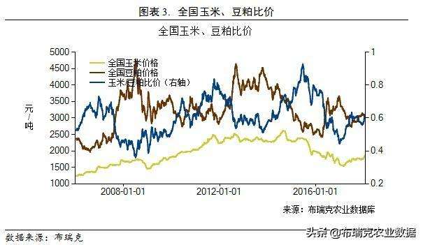 18年玉米价格走势预测_2018年玉米价格走势