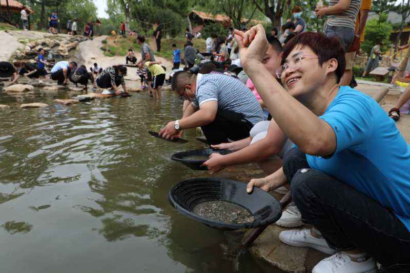 淘金足球场_淘金网足球