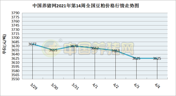 2019年到2021年猪价走势_猪价2020下半年到2021年走势