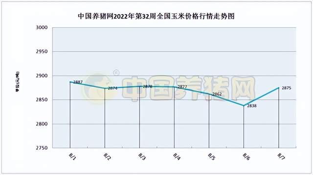 猪肉价格走势最新行情今日价_猪肉价格走势最新行情今日价格表