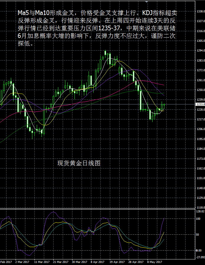 今日美国黄金走势分析_今日美国黄金走势分析图