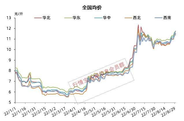 最新猪价走势专家预测_最新猪价走势专家预测图