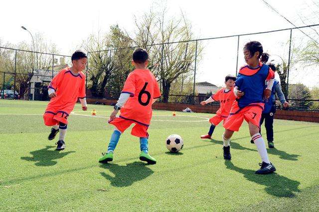 足球训练内容_小学生入门足球训练内容