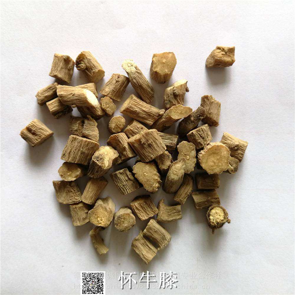 现在怀牛膝价格行情走势_怀牛膝价格2019最新价格