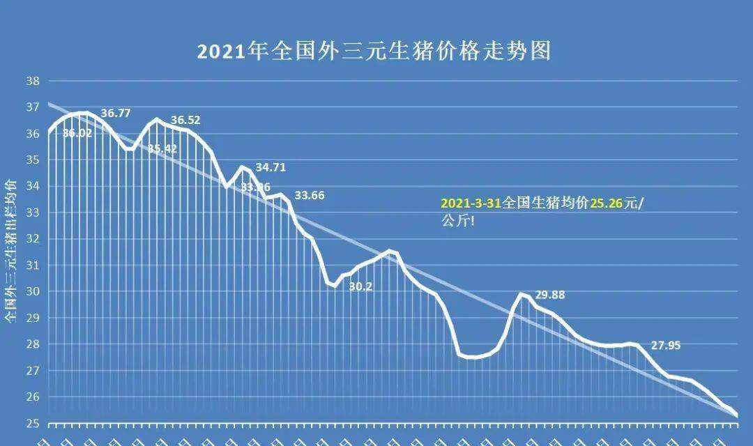 2021年8月份猪价走势图_2021年8月份猪价走势图表