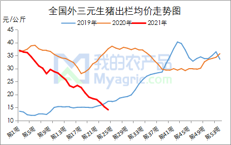 未来5天生猪价格走势_未来三天生猪的价格与走势