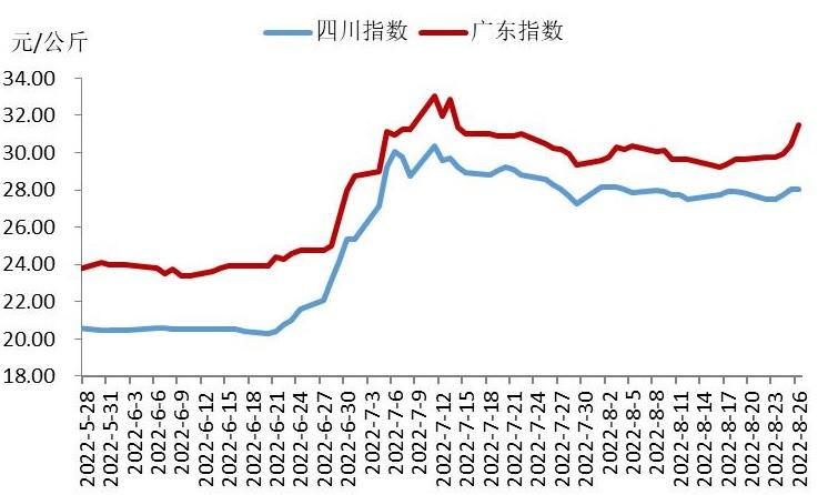 猪肉股票走势2022_2021下半年猪肉股走势