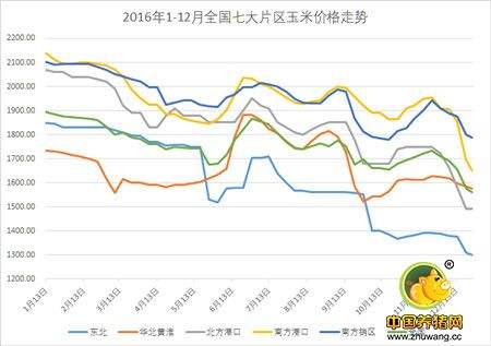 河北玉米近几年价格走势图_河北玉米近几年价格走势图表