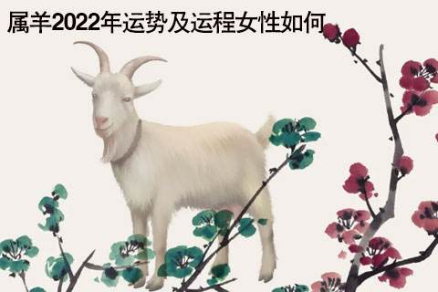 2022年大母羊行情走势分析_2022年大母羊行情走势分析视频