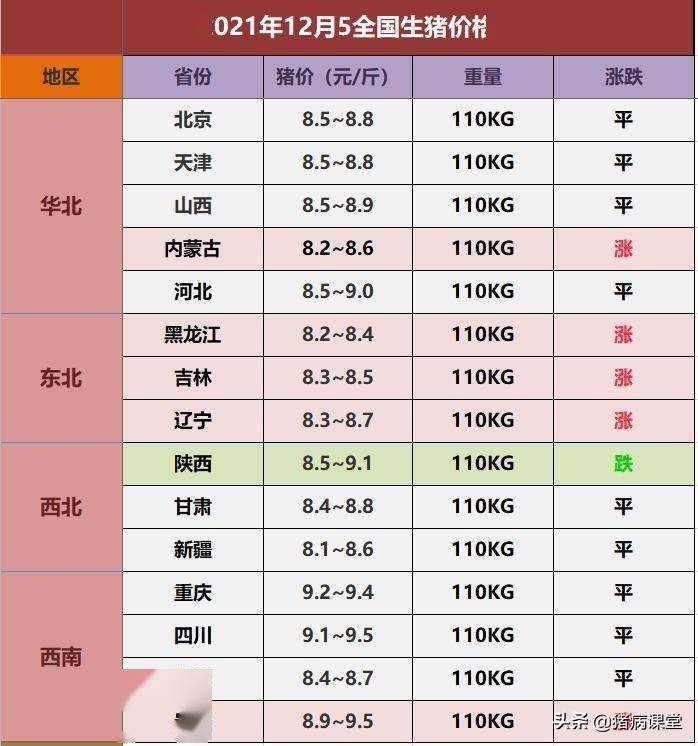 猪价12月份下旬期货走势_猪价12月份下旬期货走势图