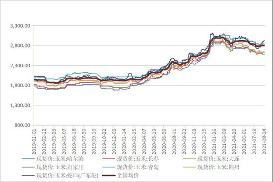 山东玉米1月份价格走势_山东玉米最新价格行情分析预测 今日