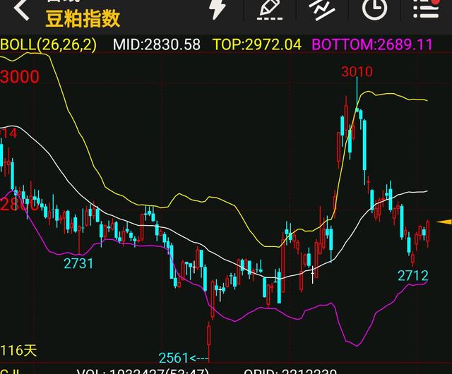 关于菜粕2206期货最新走势分析的信息