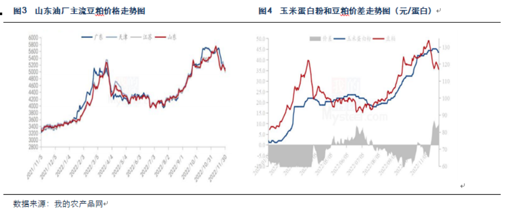 1月31日东北玉米价格走势_1月31日东北玉米价格走势分析