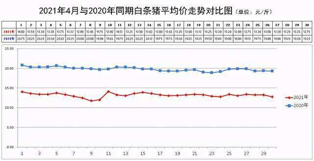 2022年春节生猪价格走势_2022年春节生猪价格走势分析