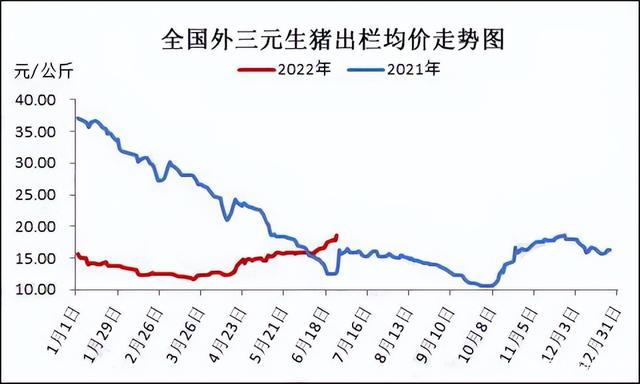 2009年生猪价格走势回顾_2009年生猪价格走势回顾表