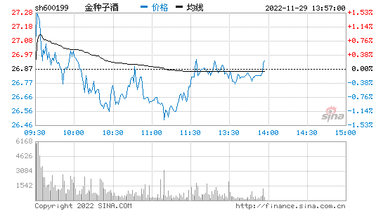 600199今日走势图_600199股票行情今天