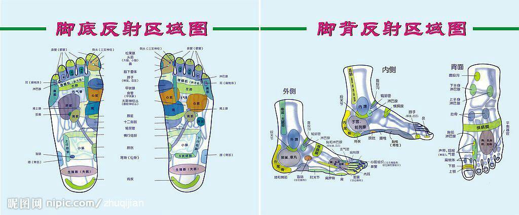 足球脚部位图解_足球脚内侧踢球图解