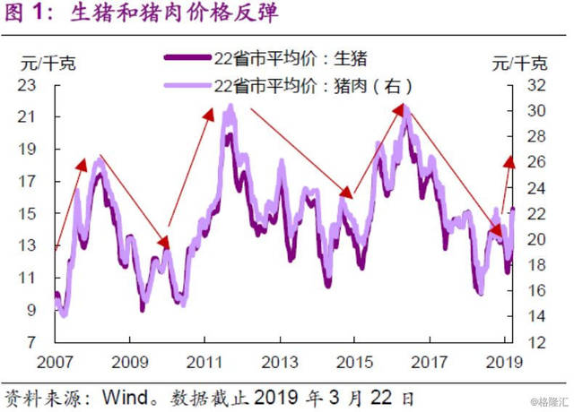 最近一轮猪周期的时间和价格走势的简单介绍