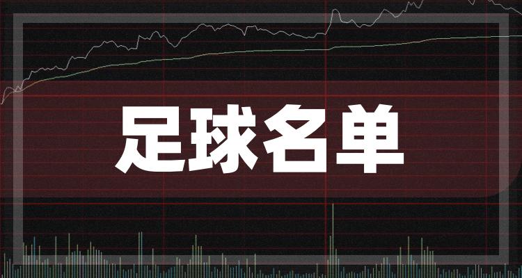 足球公司盈利_足球俱乐部营收