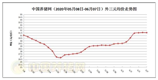 今日猪肉价格走势表河北_猪肉价格走势今日猪肉价格