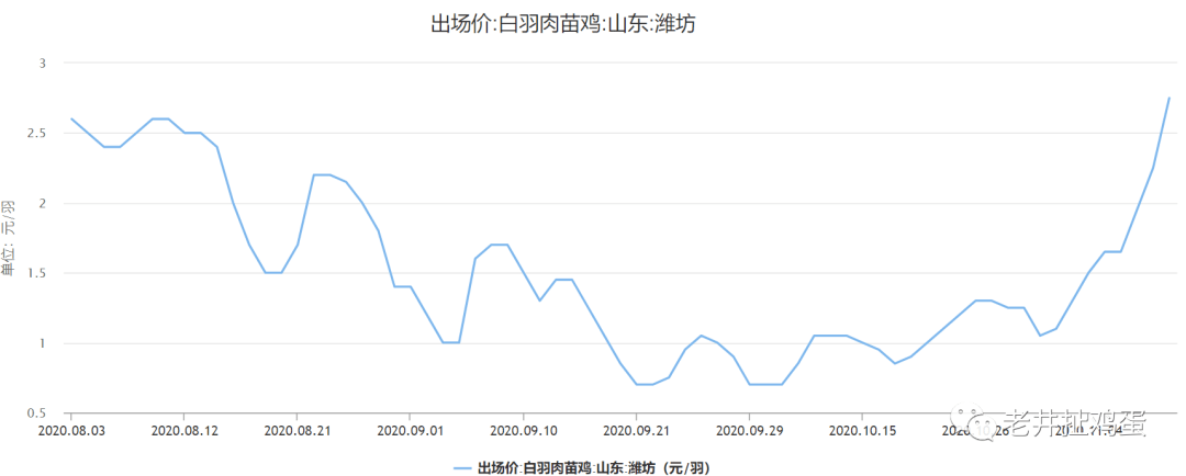 肉毛鸡价格最新行情走势_今日肉毛鸡价格最新行情的