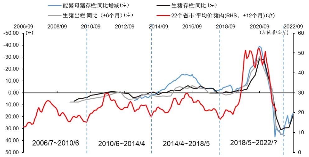 2022年猪价价格走势_2022年猪价啥样