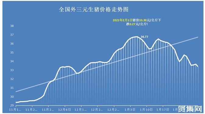 预测明天生猪价格走势_明天猪价行情预测走势分析