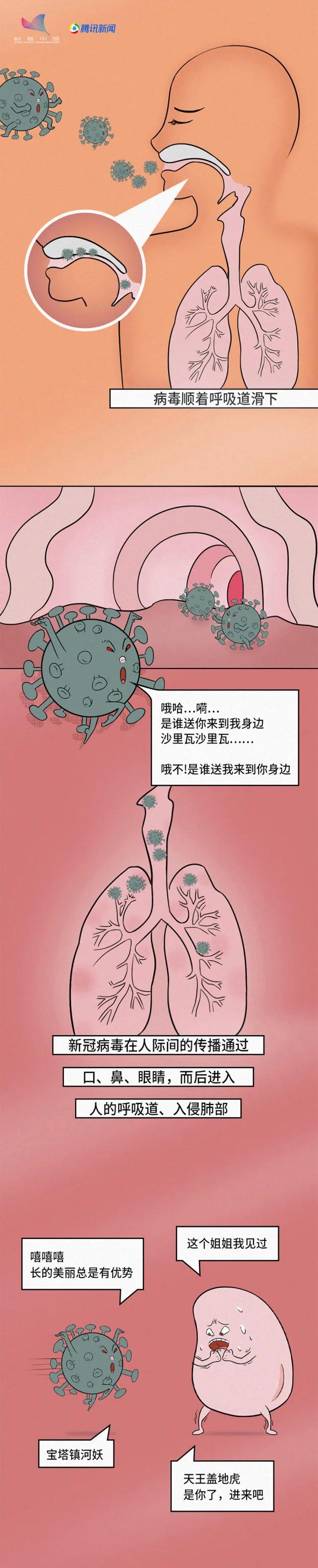 入冬了新冠病毒走势如何_新冠病毒从开始到现在的趋势图