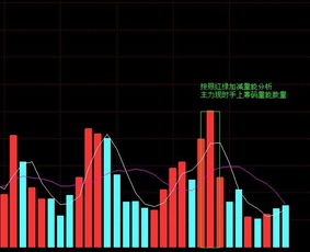 炒股为什么要看股票走势_炒股为什么要看股票走势分析