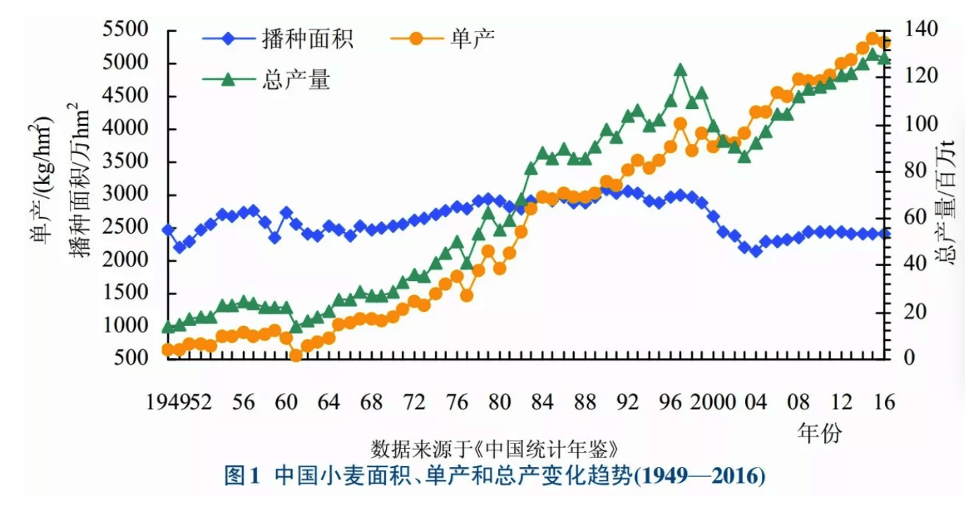 10月小麦价格走势预测_10月小麦价格走势预测表