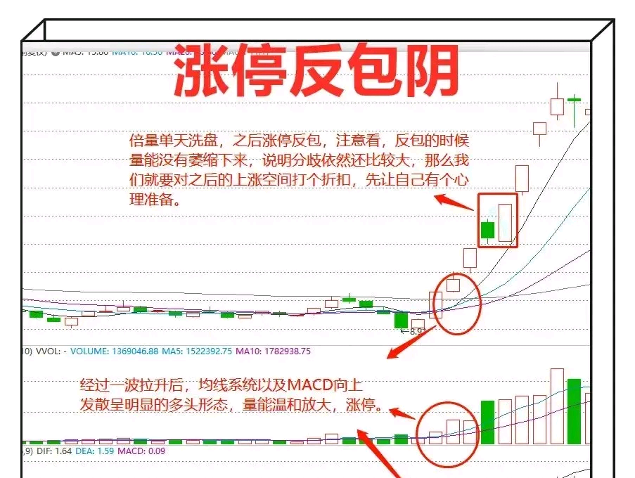 涨停后第二天走势概率_跌停第二天涨停的概率大吗