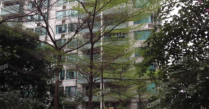 广州都市兰亭花园房价走势_广州都市兰亭花园房价走势如何