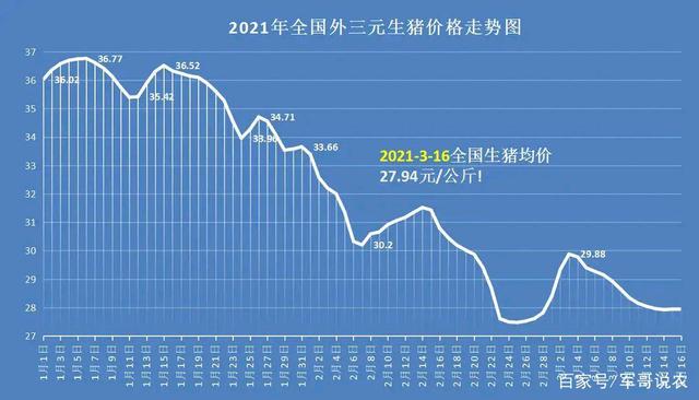 西安今日毛猪价格走势_西安今日毛猪价格走势图