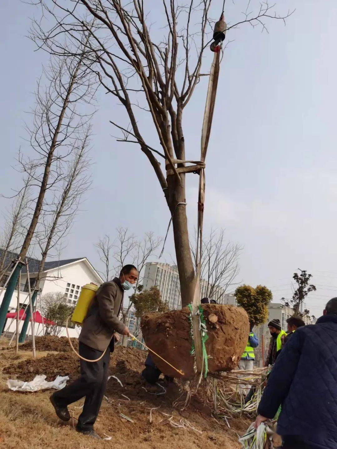 铁山区园林机械租赁价格走势_铁山区园林机械租赁价格走势表