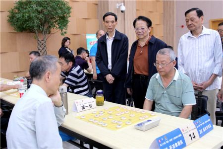 包含棋牌新教师胡荣华讲解的词条