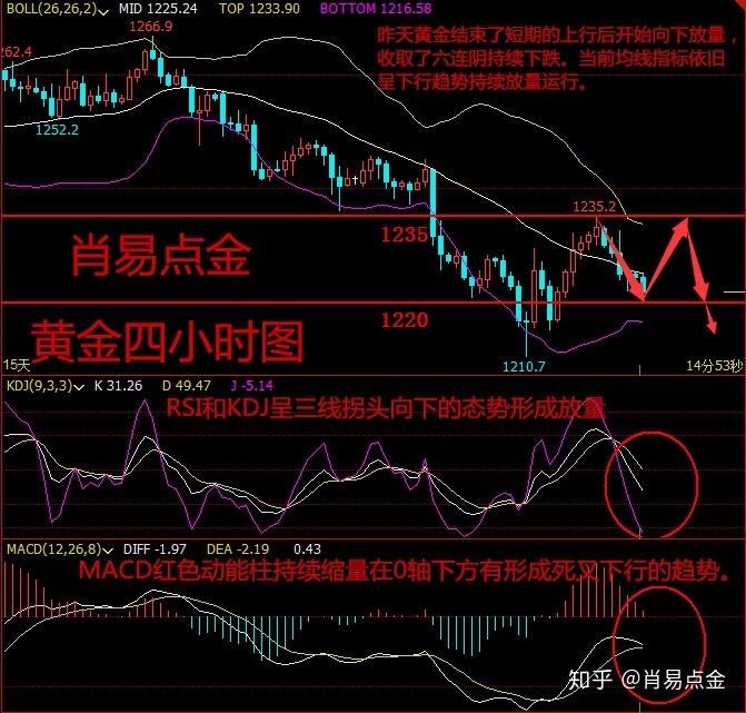 今日黄金期货价格走势图_期货黄金价格走势图实时新浪