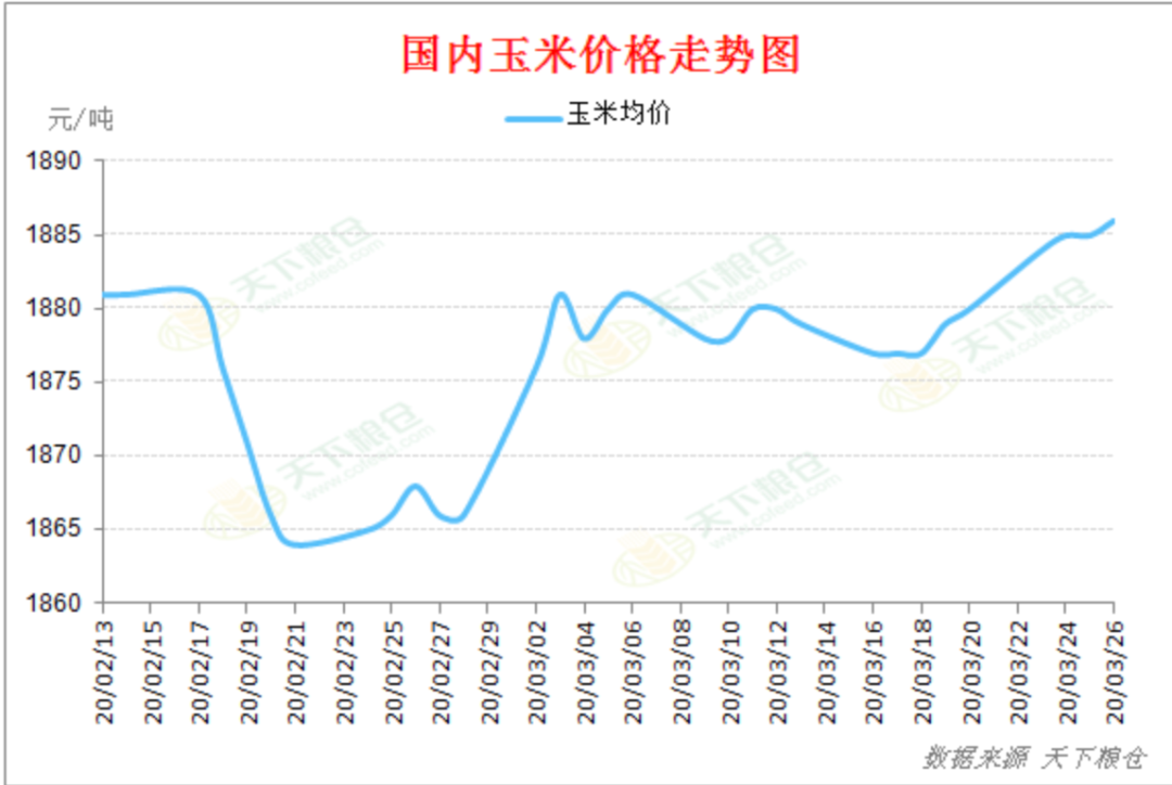 玉米的最新价格及走势_玉米的最新价格及走势图片