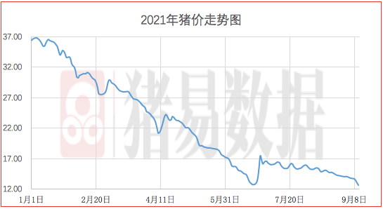 明天猪价最新价格走势_明天猪价最新价格走势图表