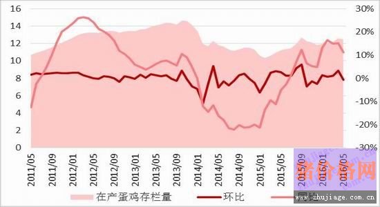 今年鸡蛋价格行情走势预测_今年鸡蛋价格行情走势预测分析